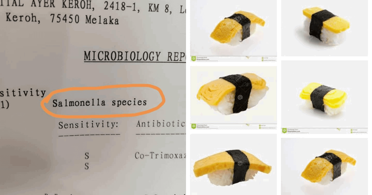 Can You Get Salmonella From Raw Fish? Yes, And From Sushi Rice Too