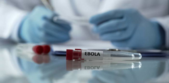 Everything To Know About Ebola: Symptoms, Treatment And Prevention