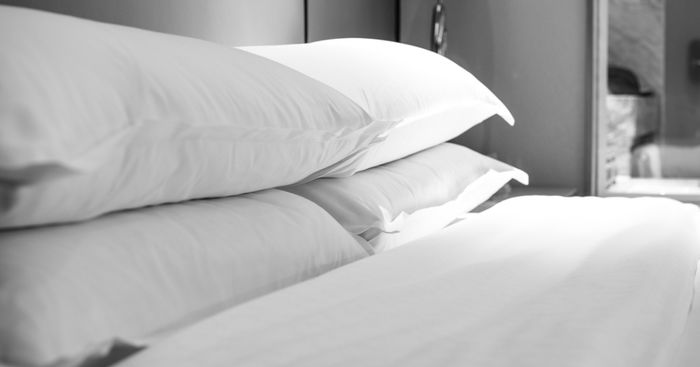 Don't Let Bed Bugs Ruin A Good Night's Sleep!