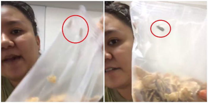 Singaporean horrified by bugs in cereal, goes LIVE on Facebook to prove infestation!