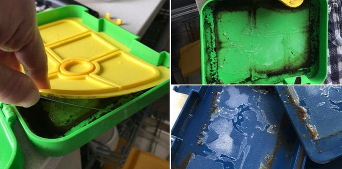 Mum Shocked To Find Mould In Child's Lunchbox: How To Prevent This?