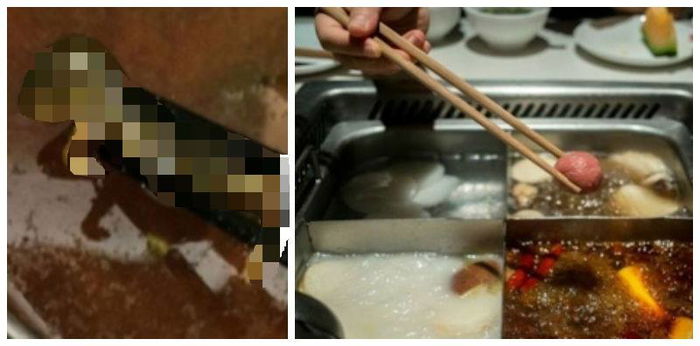 Horrified Pregnant Mum Finds Dead Rat in Hotpot, Restaurant Offers Cash for Abortion