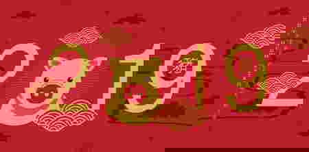 baby born in the year of the pig