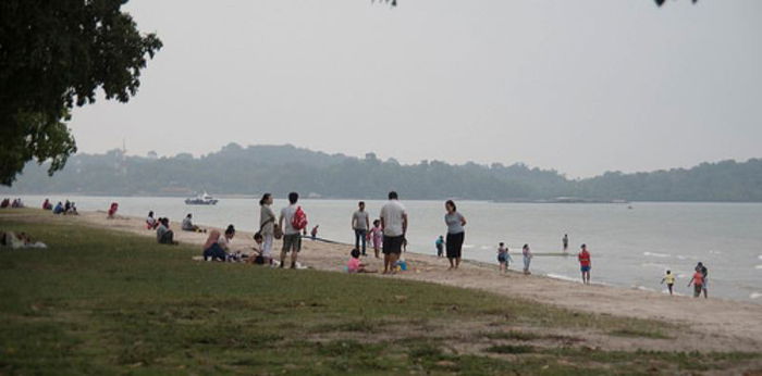 Toxic bacteria found residing on microplastics on Singapore beaches