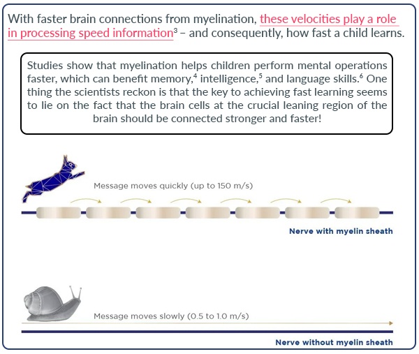 Better Learning for Your Baby? Faster Brain Connections Could Be Crucial