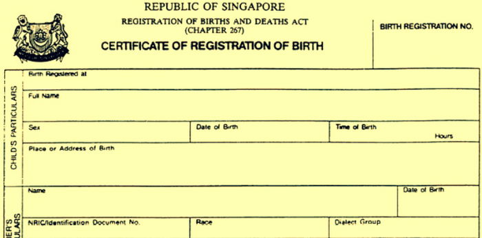 How to Add a Parent’s Name to Your Child’s Birth Certificate in Singapore