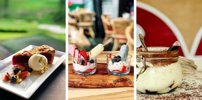 Places to bring the entire family even your pets!