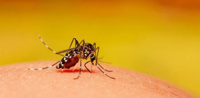 COVID-19: 3 New Cases Confirmed, 1 Initially Admitted To Hospital As Dengue Patient