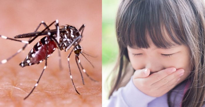 DenV-3: How to Protect Your Family From The New Strain of Dengue