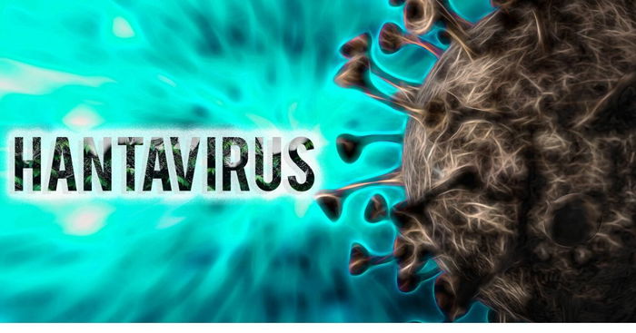 What is Hantavirus: Causes, Symptoms and Precautions