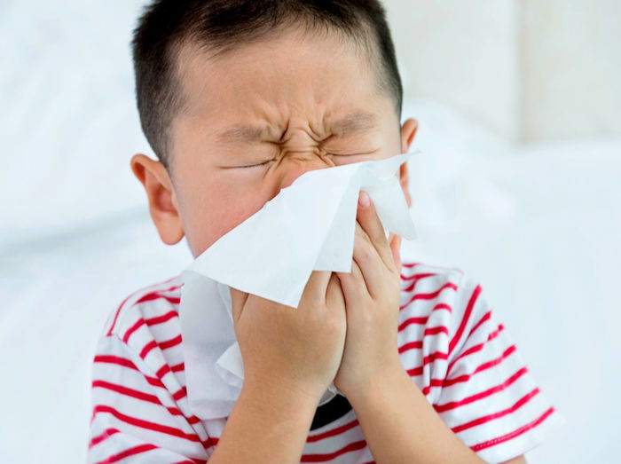 How to Spot the Difference Between a Cold or a Flu
