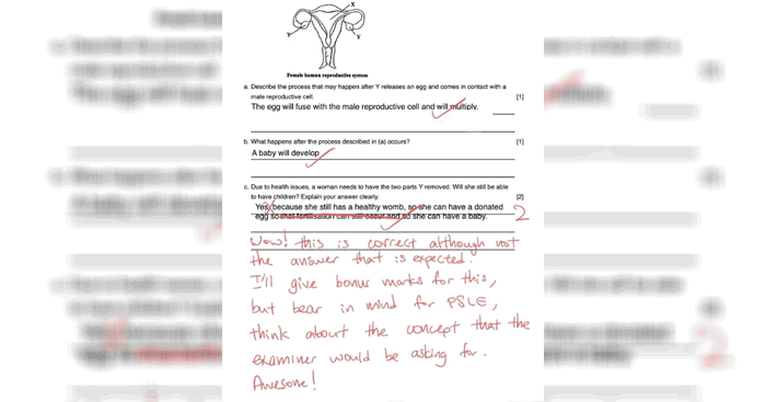 Primary 6 Boy Impresses Teacher With Answer To Science Question