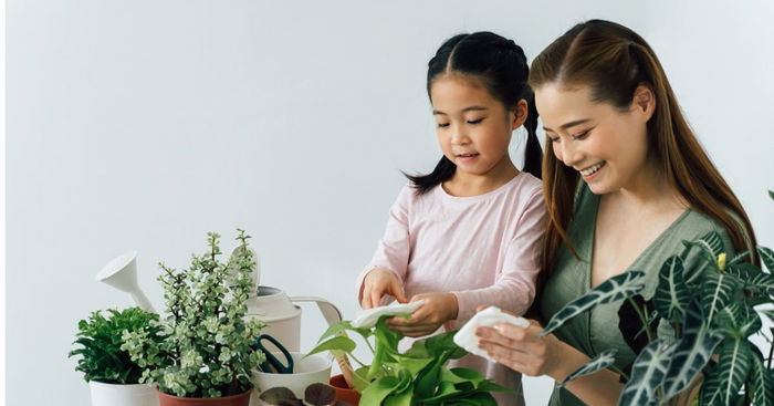 Easy Tips To Growing Your Own Herb Garden In Singapore