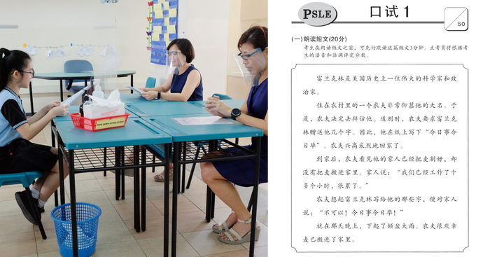 'Difficult' PSLE-level Chinese Oral Passage Leaves Netizens Puzzled