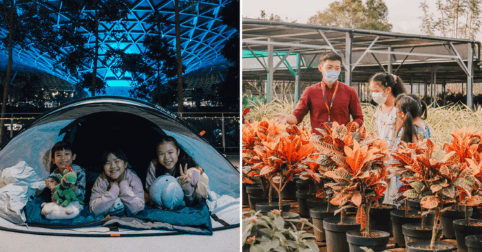 Here's Your Chance To Go Glamping Under The Stars At Jewel Changi Airport This Year End