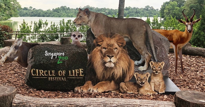 SingapoRediscovers Vouchers