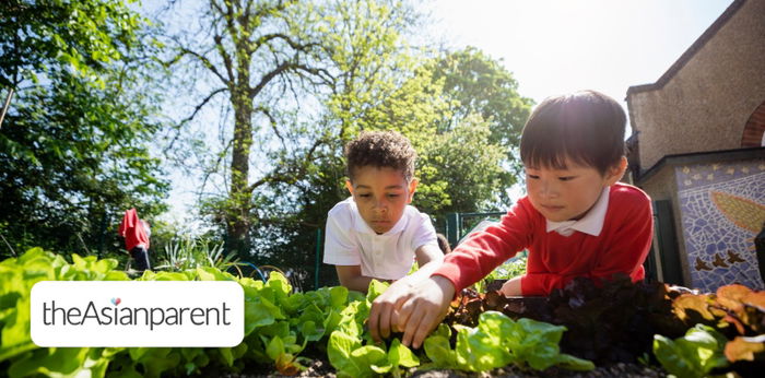 Enrichment Classes for Toddlers in Singapore: Our Top Picks Based on Your Child's Interests