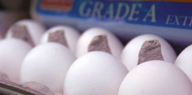 Are You Cooking Your Eggs Right? Check Today As You May Be At Risk Of Salmonella Food Poisoning