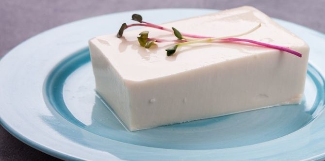 Is it Safe to Consume Tofu When You Are Pregnant? Here's The Real Truth!