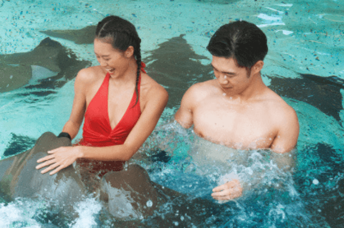 Adventure Cove Waterpark