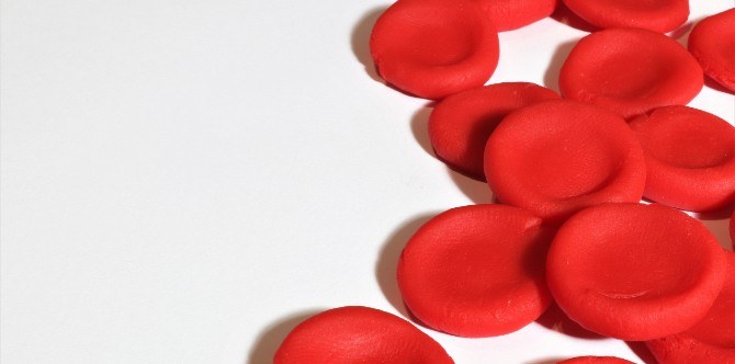 Thalassemia Test Singapore: Where to Get Tested and What to Expect