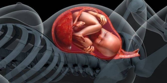 Women With A Small Birth Canal Tend To Have An Easy Delivery, Says Study