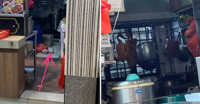 Raw Chicken On Floor, Ducks Hung Overnight: Netizens Raise Alarm On Food Hygiene At Roast Meat Stalls