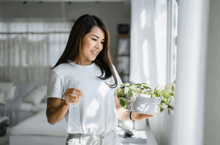 feng shui rules house