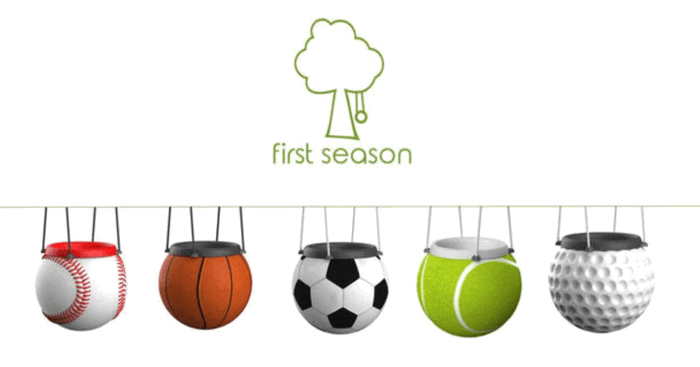 First Season Launches New Sports Baby Swings On INDIEGOGO!