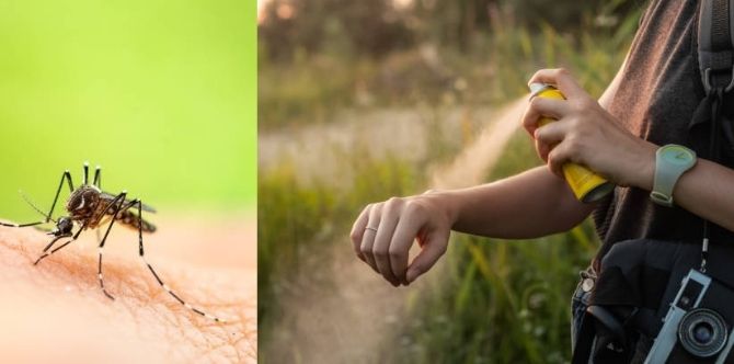 8 Natural DEET Free Mosquito Repellents That Will Keep Your Family Safe