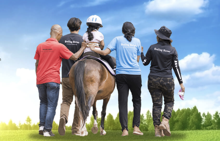 Healing Horses Singapore