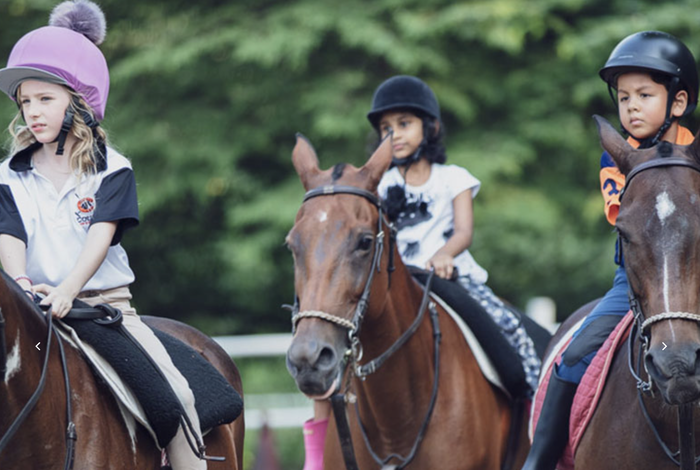 Colts Polo & Riding School