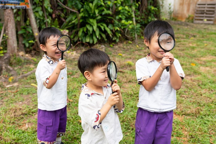 Montessori Education For Your Child: What You Should Know