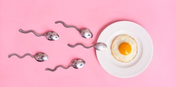 Ovulation Tracking: How To Use This Method To Better Plan a Pregnancy