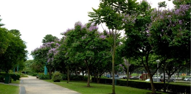 West Coast Park: Enjoy A Day Of Barbecuing, Bird Watching, Camping And More