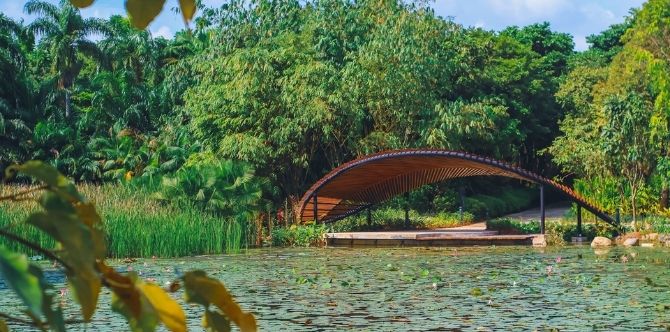 Kingfisher Wetlands: Explore This Spectacular Sanctuary Right In The Heart Of The City!