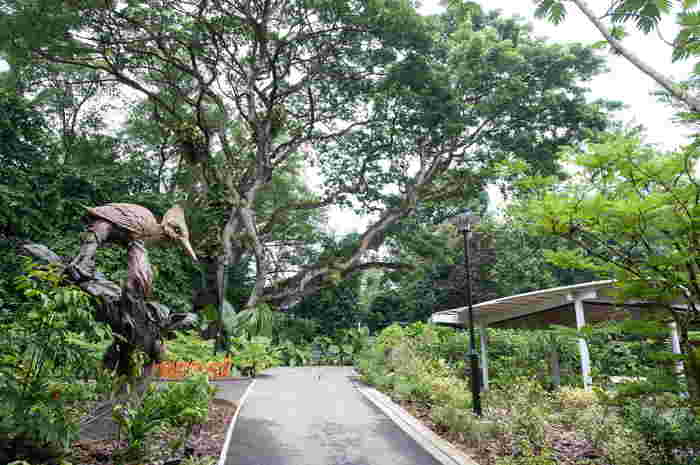 Discover the Enchanting Delights of Singapore Botanic Gardens