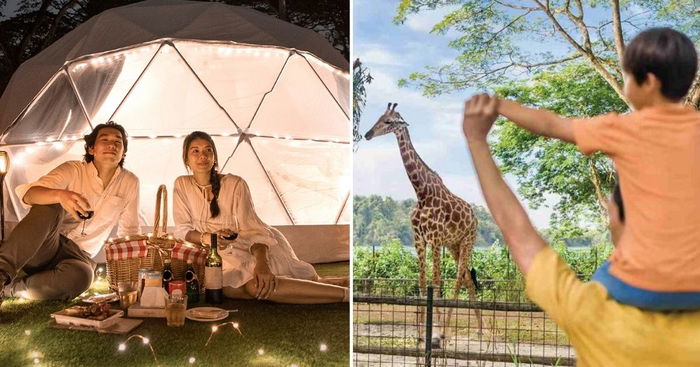 Enjoy A Unique Staycation Experience At Singapore Zoo With Air-Con Tents, Guided Tours And More!