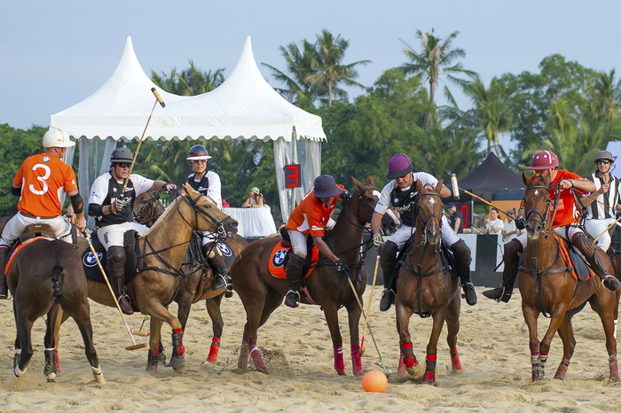 Exploring the Equestrian World: 8 Places to Go Horse Riding in Singapore