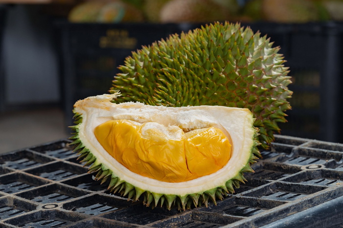 durian