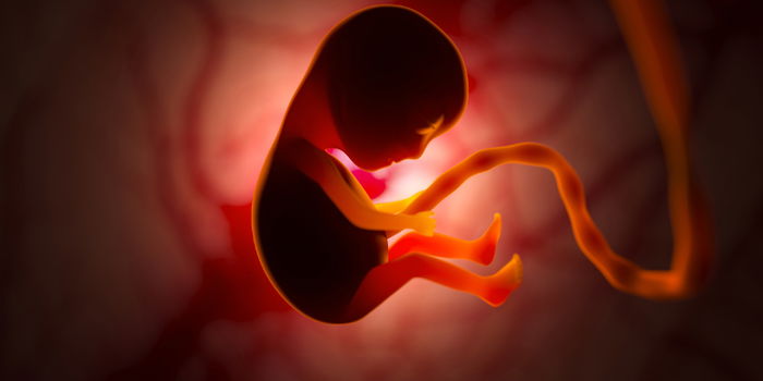 How Your Child's Senses Develop In Your Womb