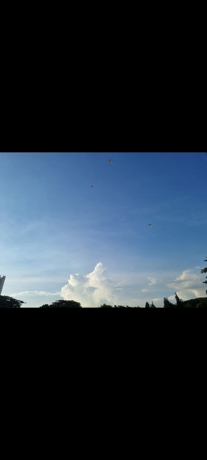 Fun Family Activities in Singapore