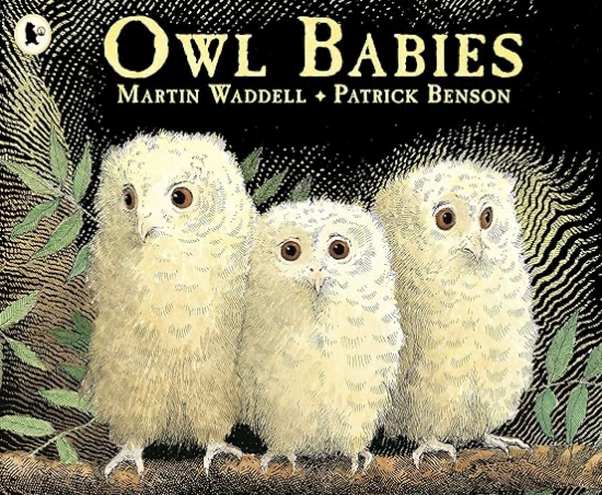 12 All Time Favourite Books for Toddlers to Read During Story Time