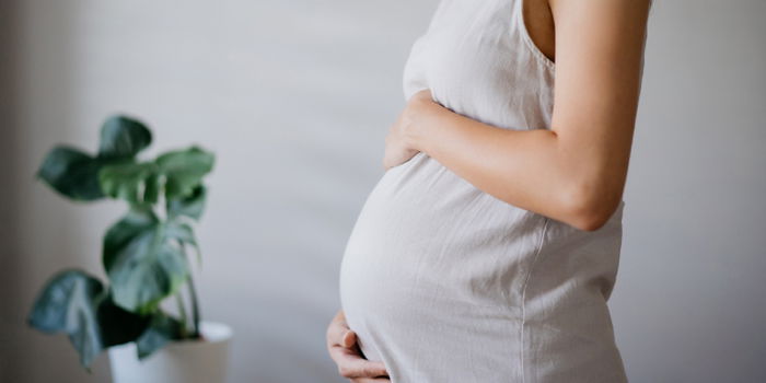 5 Months Pregnant: What to Expect