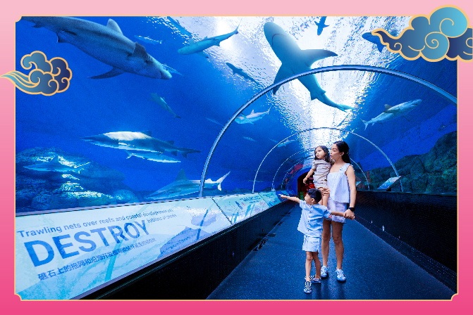 13 Exciting Activities to Do This Chinese New Year 2024