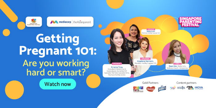 Conceiving, Fertilisation, and IVF: Mom Experiences and Health Experts Talk