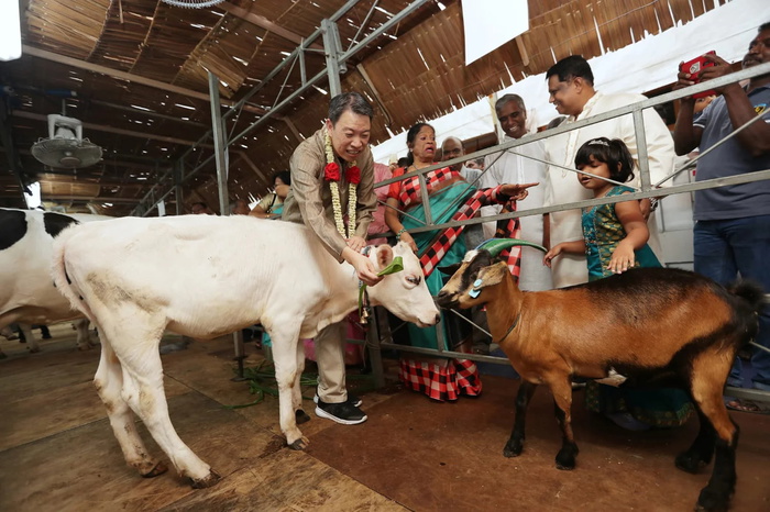 Lim Chu Kang Farm Area: 10 Kid-Friendly Green Places You Must Visit
