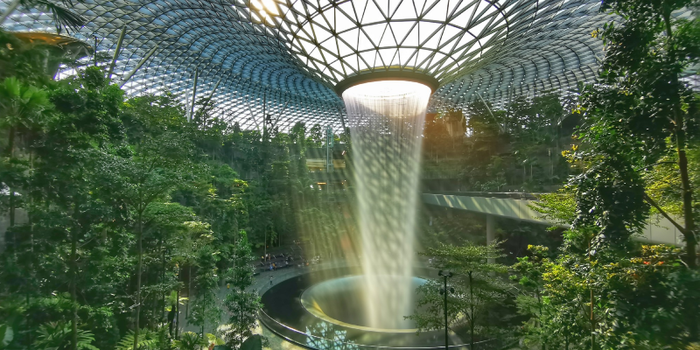 Jewel Changi Airport Food: Best Kid-Friendly Restaurants