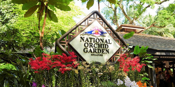 Enjoy Free Admission to National Orchid Garden: A Floral Paradise
