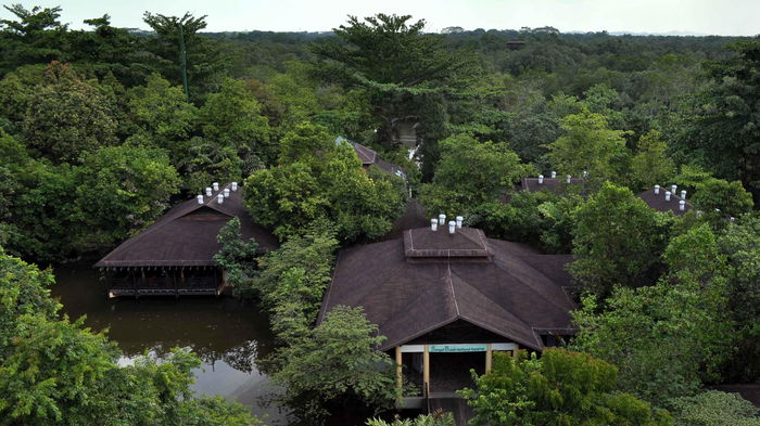 Discover the Beauty of Sungei Buloh Wetland Reserve